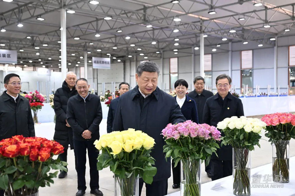 习近平考察丽江1.jpg