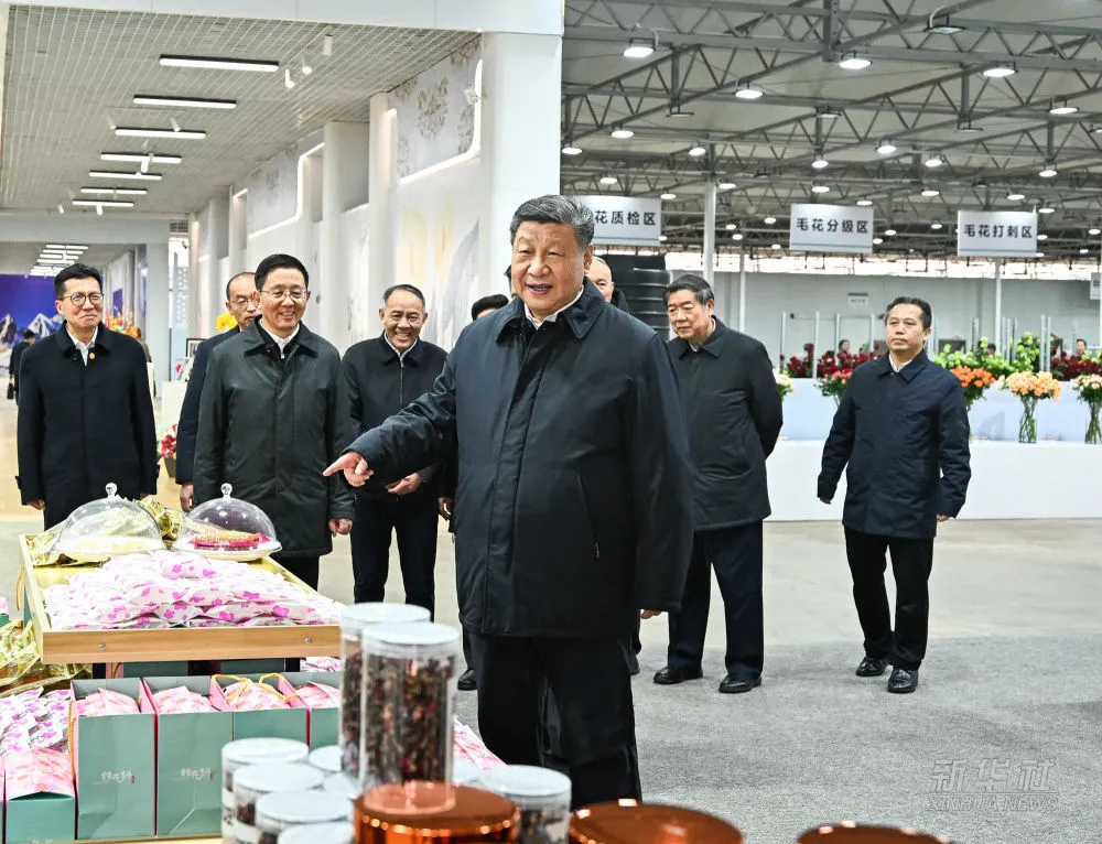 习近平考察丽江2.jpg