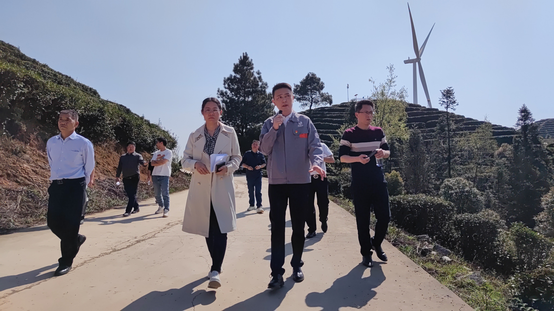 县政协刘瑛副主席带队到江龙镇黔龙茶山调研.jpg