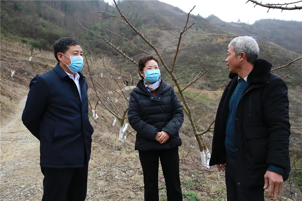 微信图片_20230208191445.jpg 微信图片_20230208191445.jpg