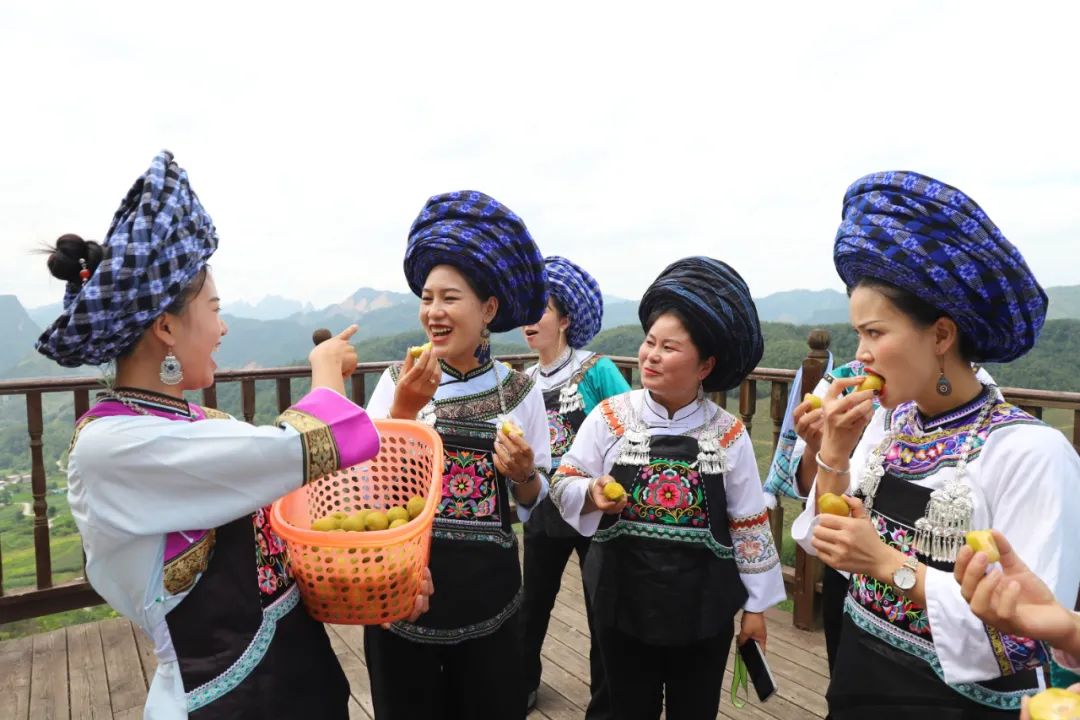 微信图片_20230326213117.jpg 微信图片_20230326213117.jpg