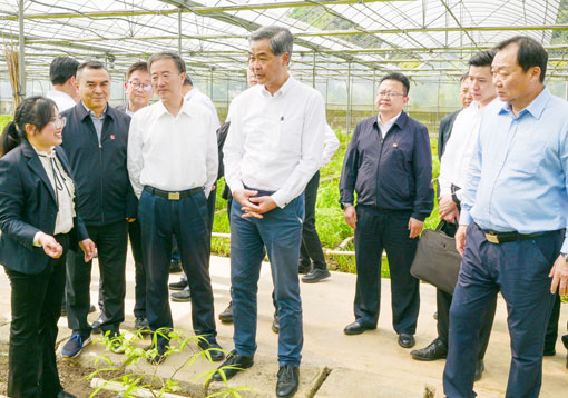 1681779876144095813.jpg 1681779876144095813.jpg